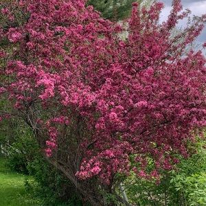 Meet your Posher, Tami